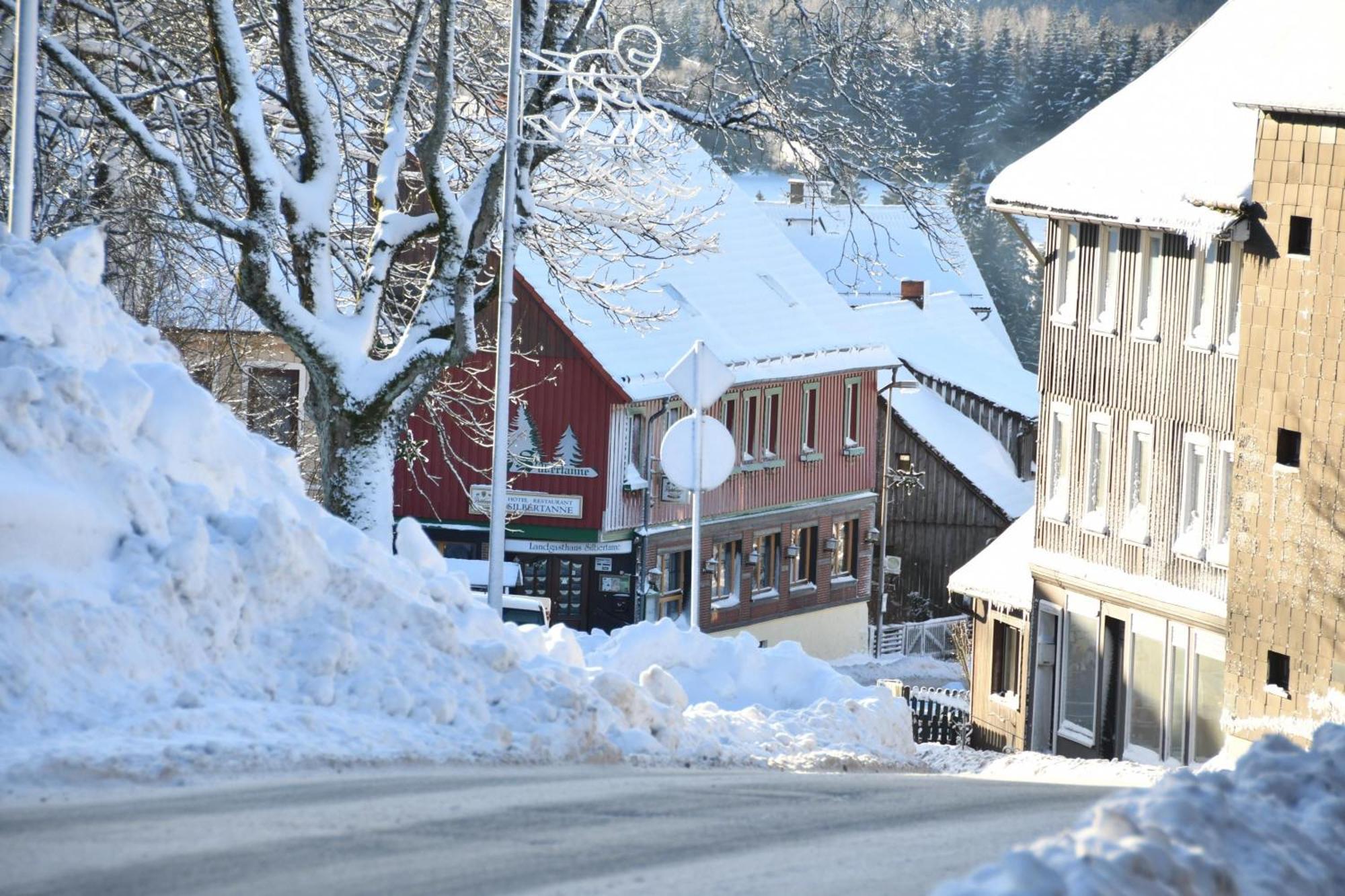 Wohnung In Hohegeiss Mit Grill Und Garten Braunlage Exteriör bild