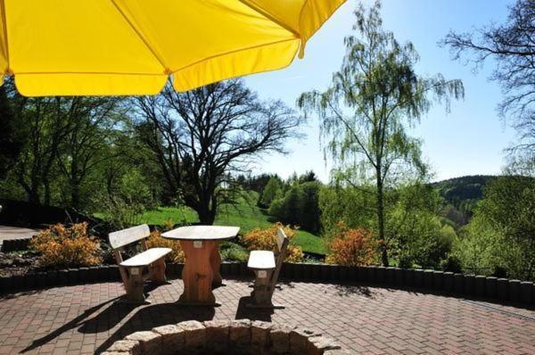 Wohnung In Hohegeiss Mit Grill Und Garten Braunlage Exteriör bild